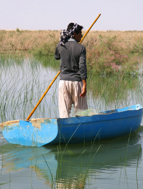 هامون صابری و هیرمند