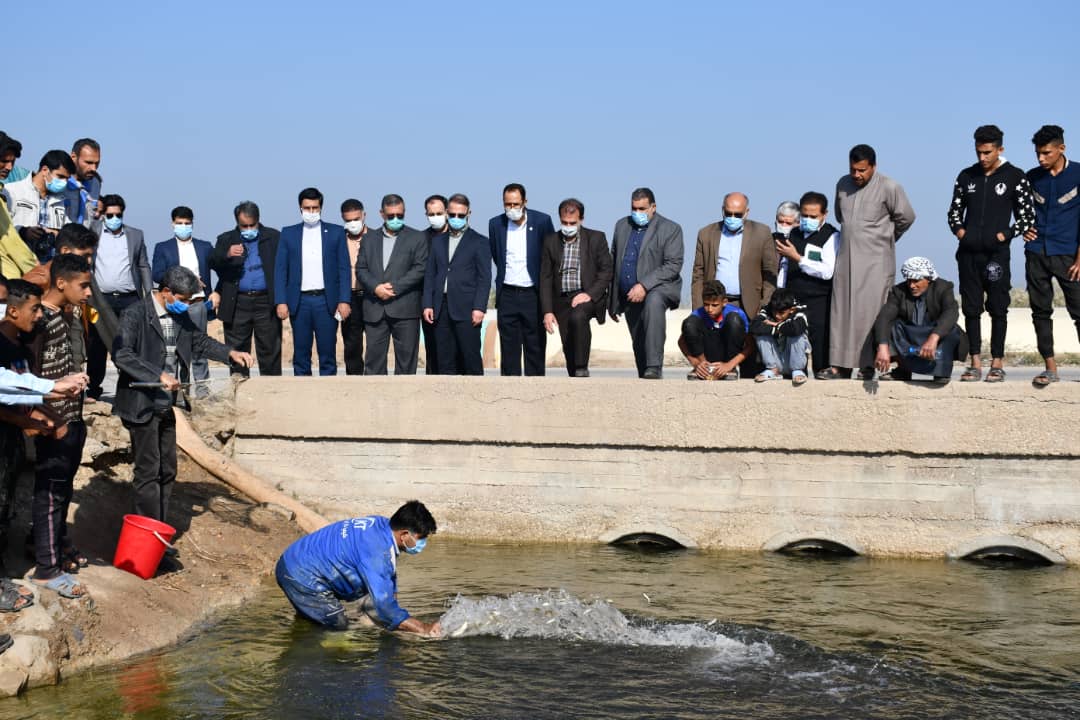 حمایت از معیشت پایدار ماهیگیران تالاب شادگان از طریق آموزش بهره‌برداران و تکثیر و تقویت ذخایر ماهیان بومی تالاب